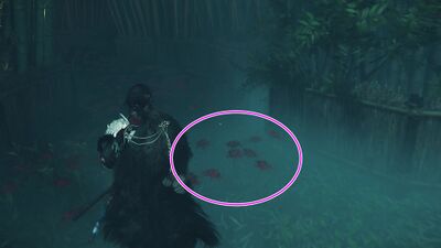 死人武者の画像