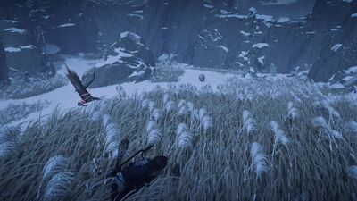 Record642 - frame at 107m31s.jpg