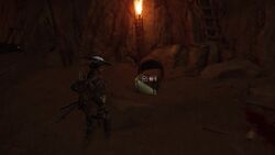 石狩ヶ原の画像