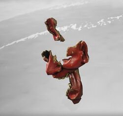 鬼面の破片の画像