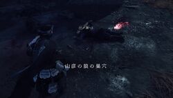 狼の巣穴の画像