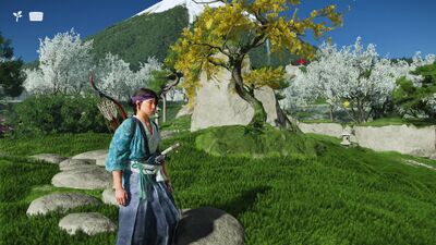 三味線の名手の画像