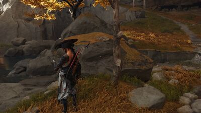 ゆるし花の画像