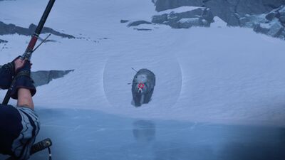 Record642 - frame at 115m47s.jpg