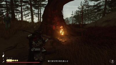 Record639 - frame at 57m29s.jpg