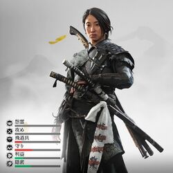 九尾組の鎧の画像