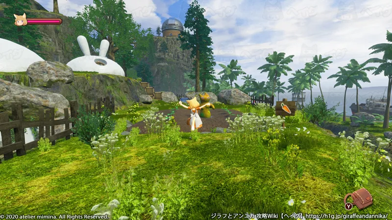 35%); うさぎハウスの庭(ニンジン畑