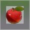 リンゴ.jpg