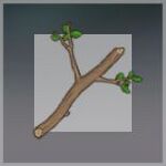 木の枝