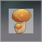 キノコ