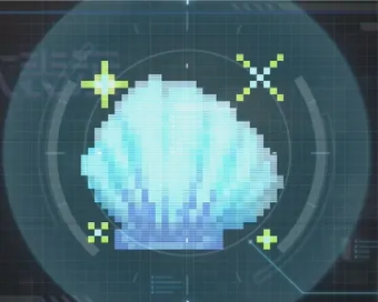 きれいな貝殻の画像