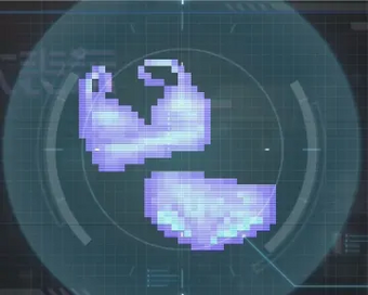 女物の水着の画像