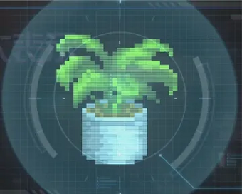 観葉植物の画像