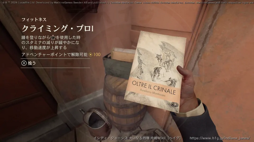 盗まれた猫のミイラの画像