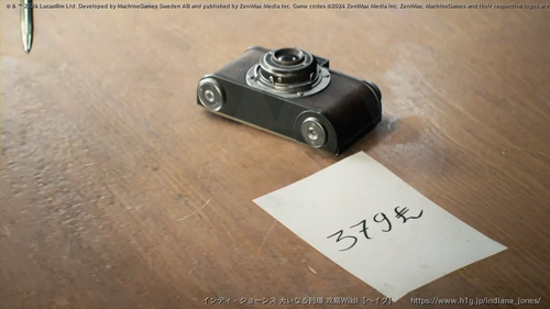 盗まれた猫のミイラの画像