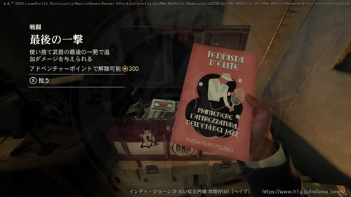 盗まれた猫のミイラの画像