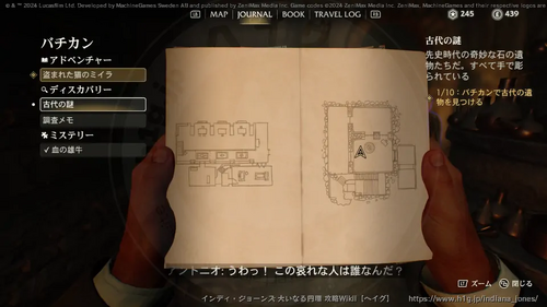 盗まれた猫のミイラの画像