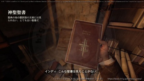 盗まれた猫のミイラの画像