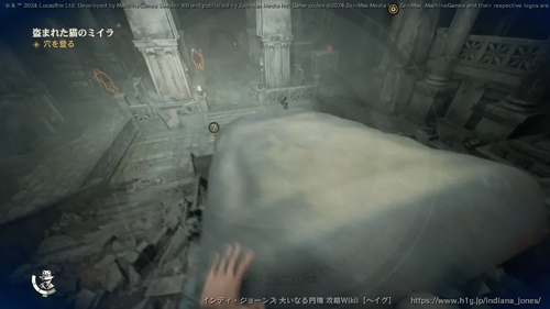 盗まれた猫のミイラの画像