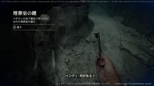 盗まれた猫のミイラの画像