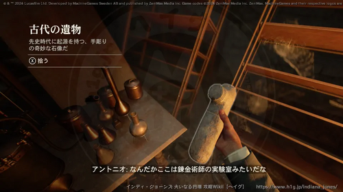 盗まれた猫のミイラの画像