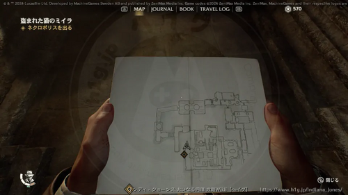 盗まれた猫のミイラの画像