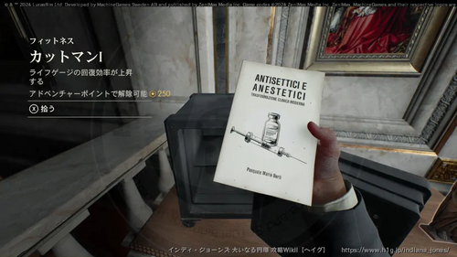 盗まれた猫のミイラの画像