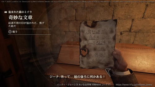 盗まれた猫のミイラの画像