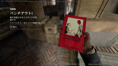 盗まれた猫のミイラの画像