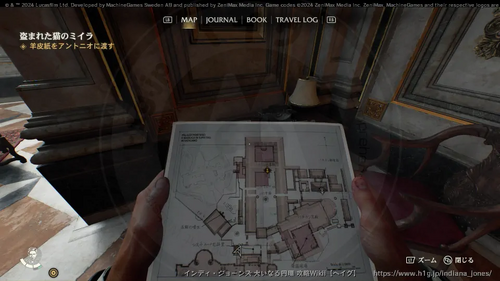 盗まれた猫のミイラの画像