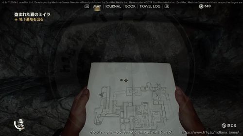 盗まれた猫のミイラの画像