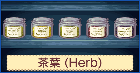 ハーブ一覧
