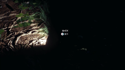 ライトを拾う