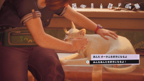 トロフィー「オー・マイ・キャット」の獲得