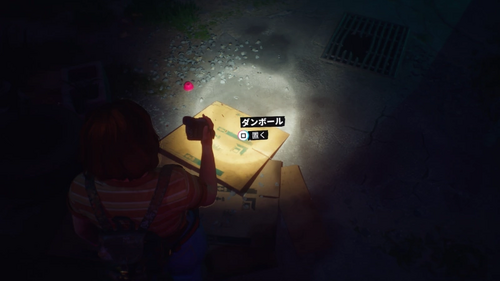 排水溝を段ボールで塞ぐ