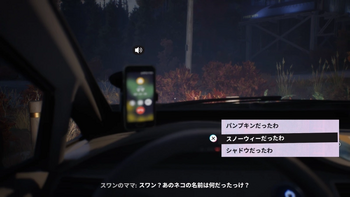 ネコの名前を決める