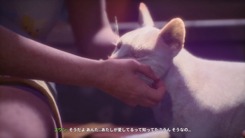 選んだ名前によって毛色が決まる