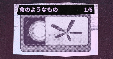 命のようなもの｜回顧録コレクション