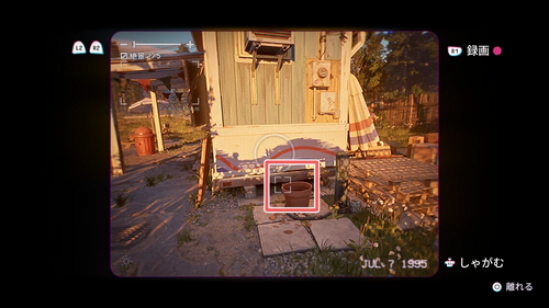 いろんな生き物6