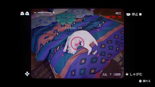 自慢のネコの撮影