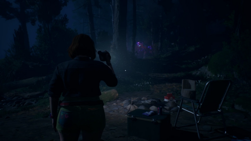 光る蛾の後を追う