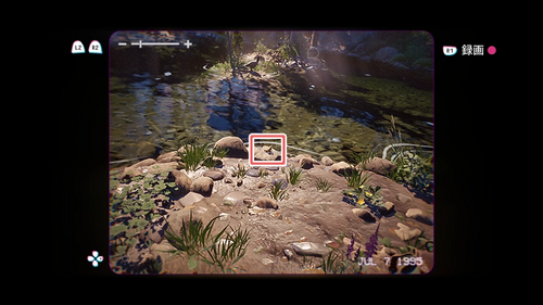 いろんな生き物3