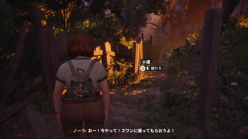 小道を進んで丸太橋へ