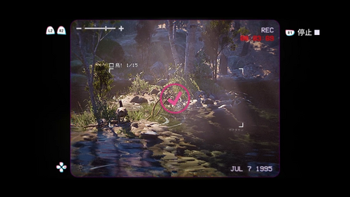 近くのガンをまとめて撮影