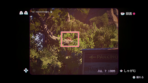 いろんな生き物4