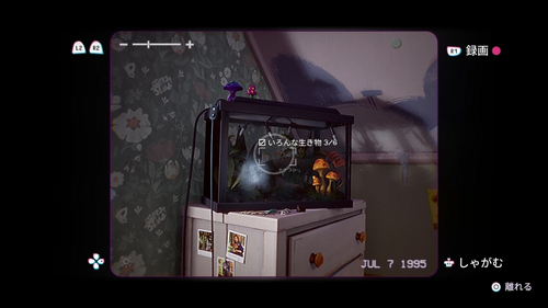 いろんな生き物1