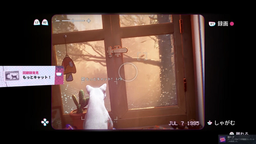 回顧録コレクションの発見と収集