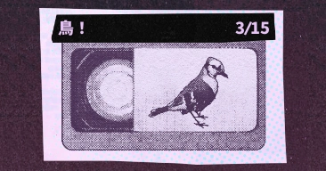 鳥！｜回顧録コレクション