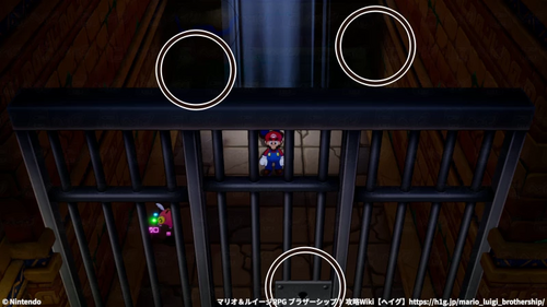 地下牢をくまなく調べる