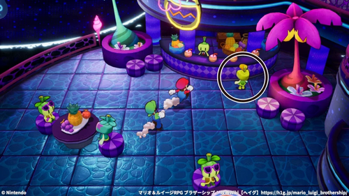 レンタルウキワのスタッフはバーカウンターにいる